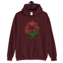 Load image into Gallery viewer, BRAVURAS Red &amp; Green LOGO Unisex Hoodie